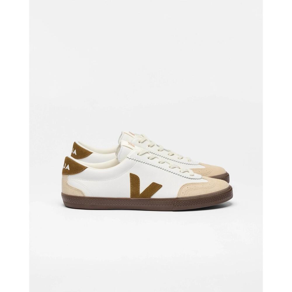 VOLLEY WHITE TENT BARK 3/3
