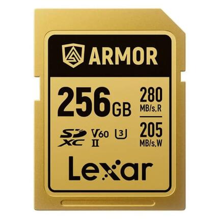 SDXC Speicherkarte LEXAR Professional Armor Gold