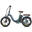 Bicicletă electrică FAFREES F20+ Pro pentru adulți, baterie 36V 25Ah