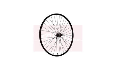 ROLAND Vorderrad 28 Ryde Rival21 HBQC300