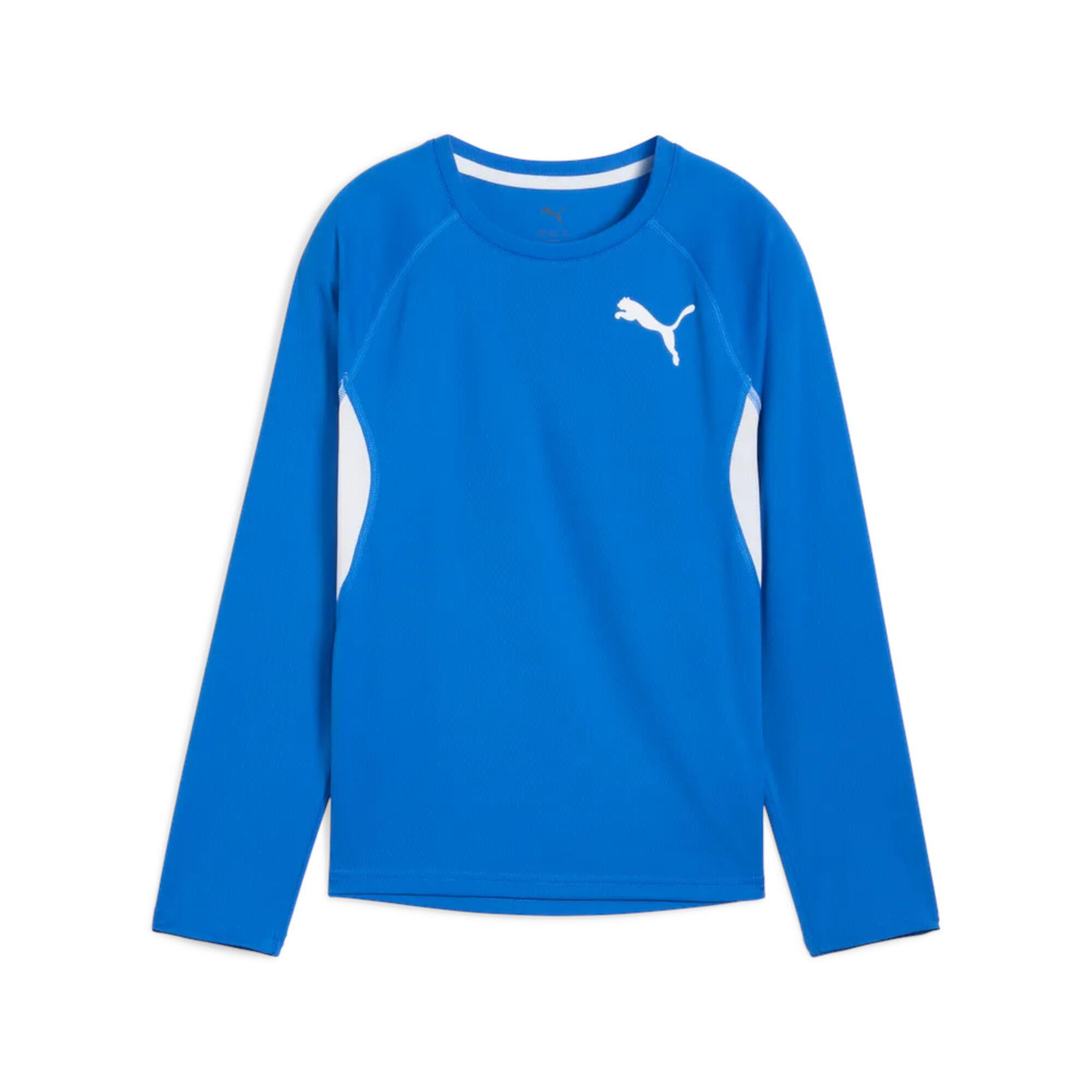 PUMA picture