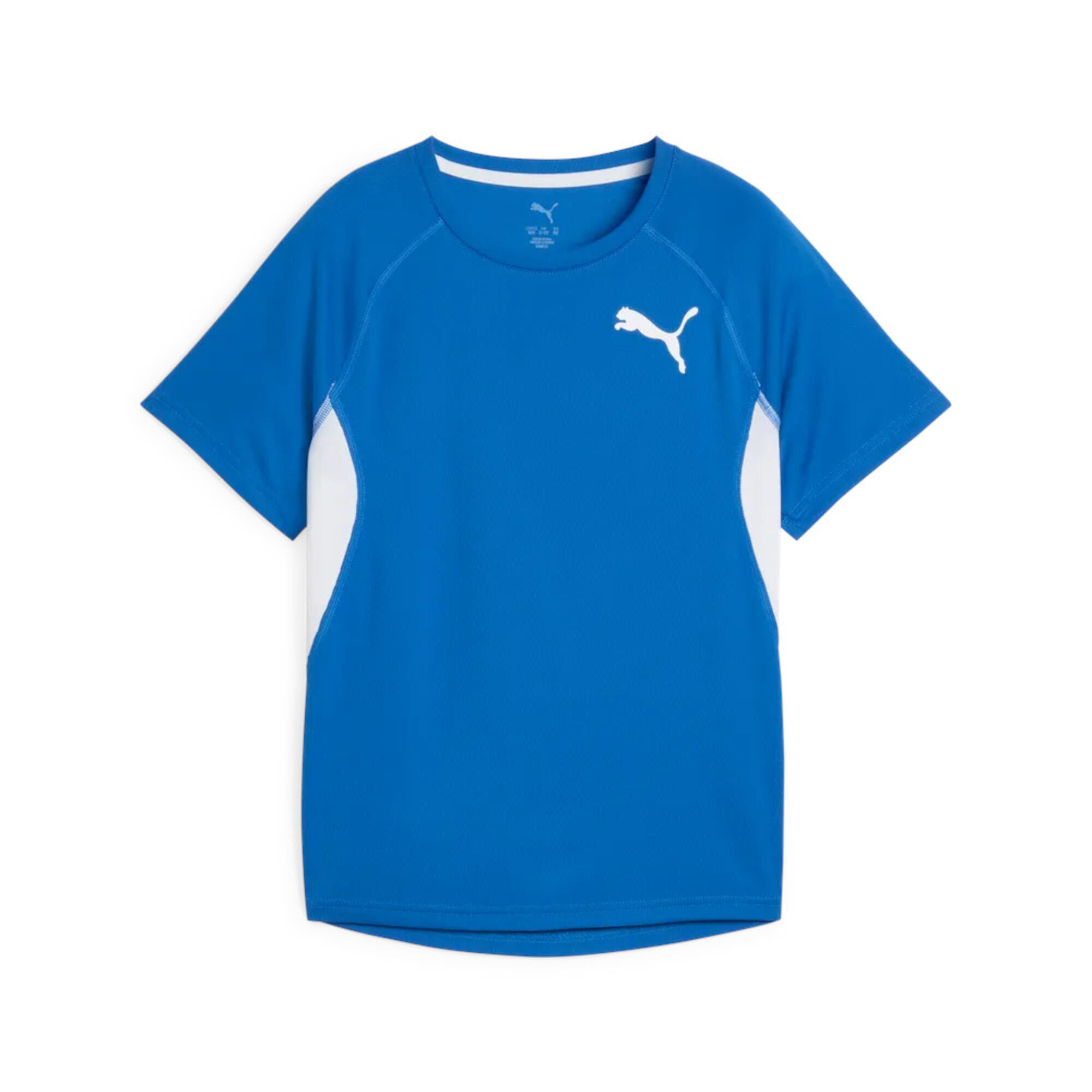 PUMA picture