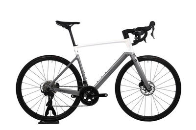 Refurbished - Rennrad - Focus Paralane - L . SEHR GUT