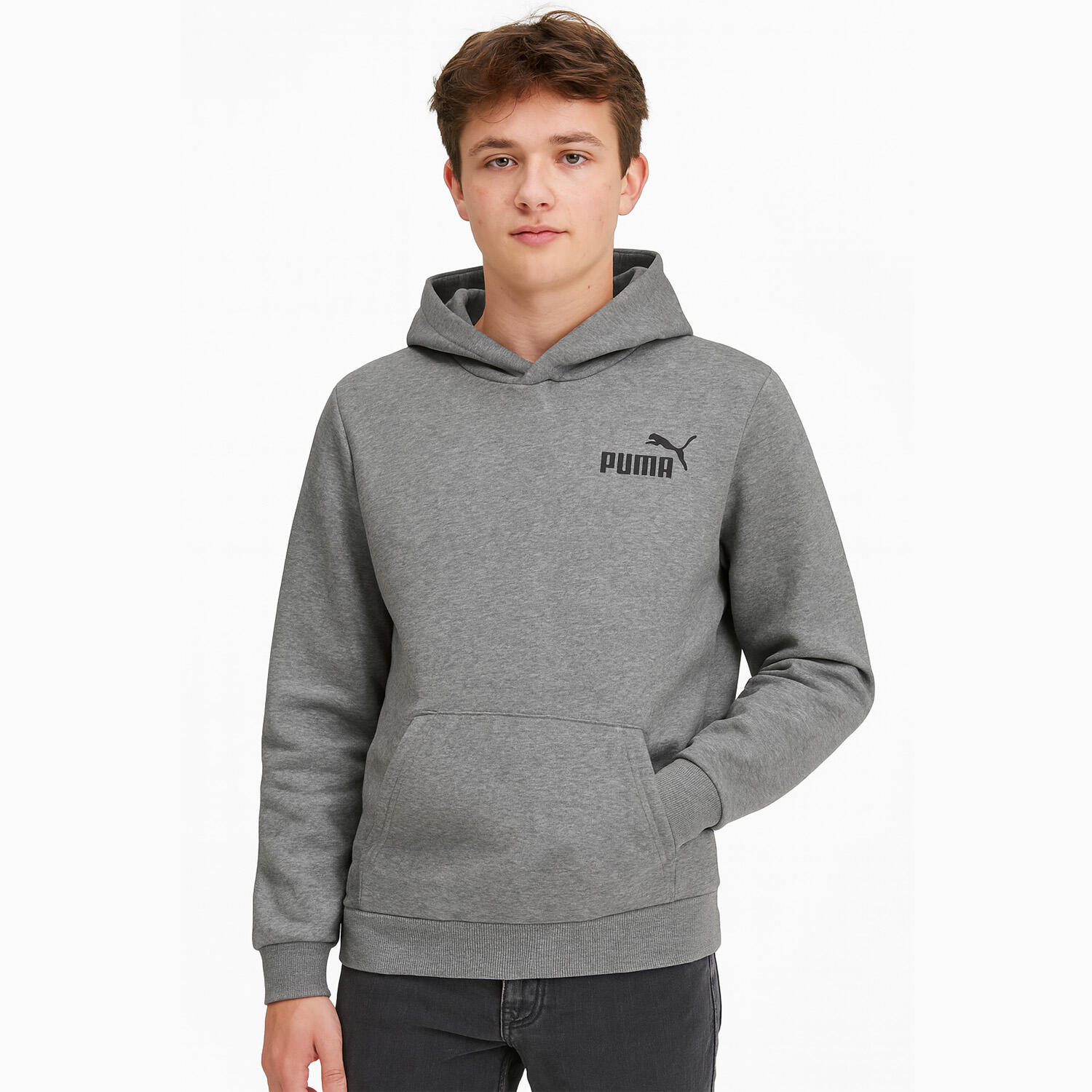 PUMA picture