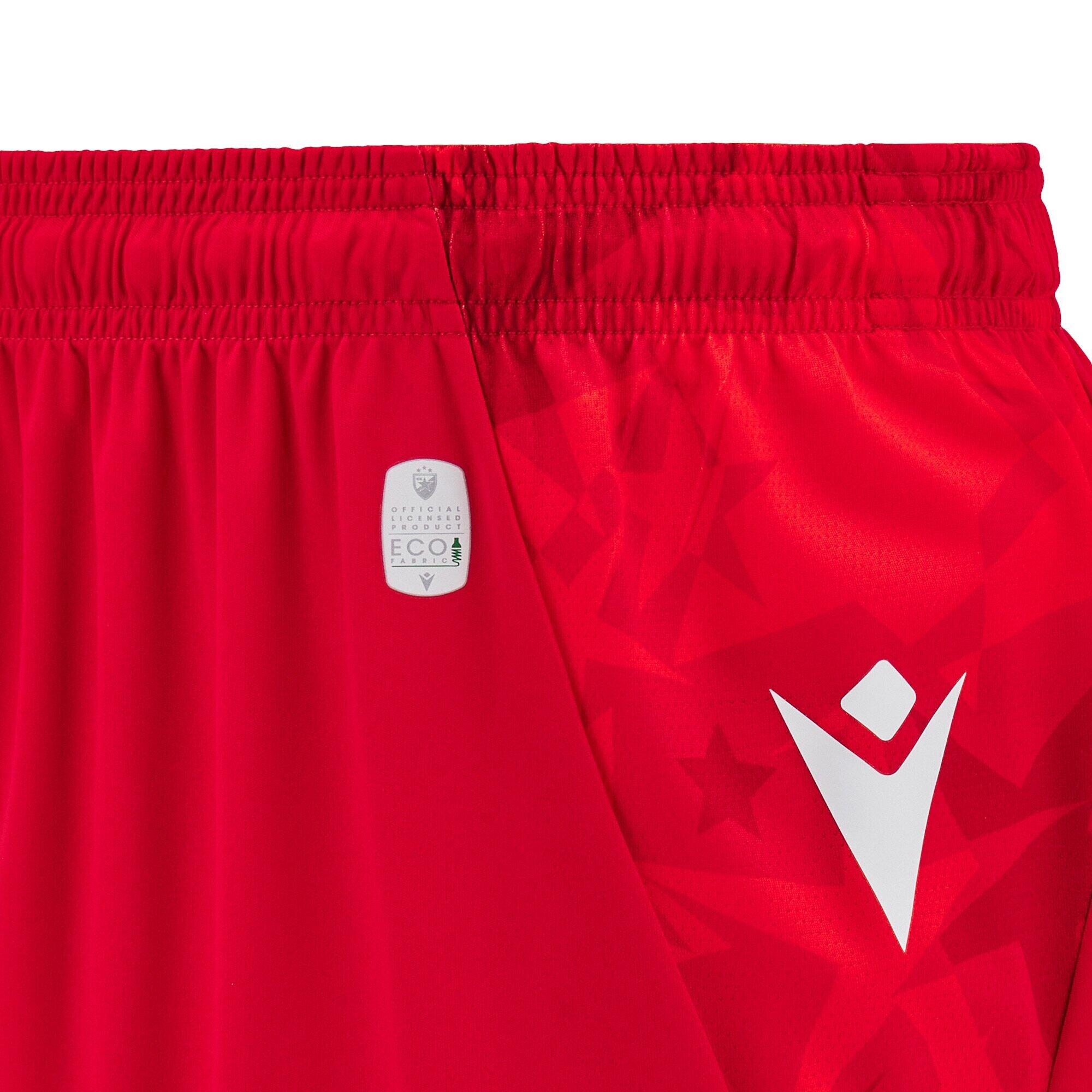 Short Domiciliario Stella Rossa di Belgrado 2024/25 2/5