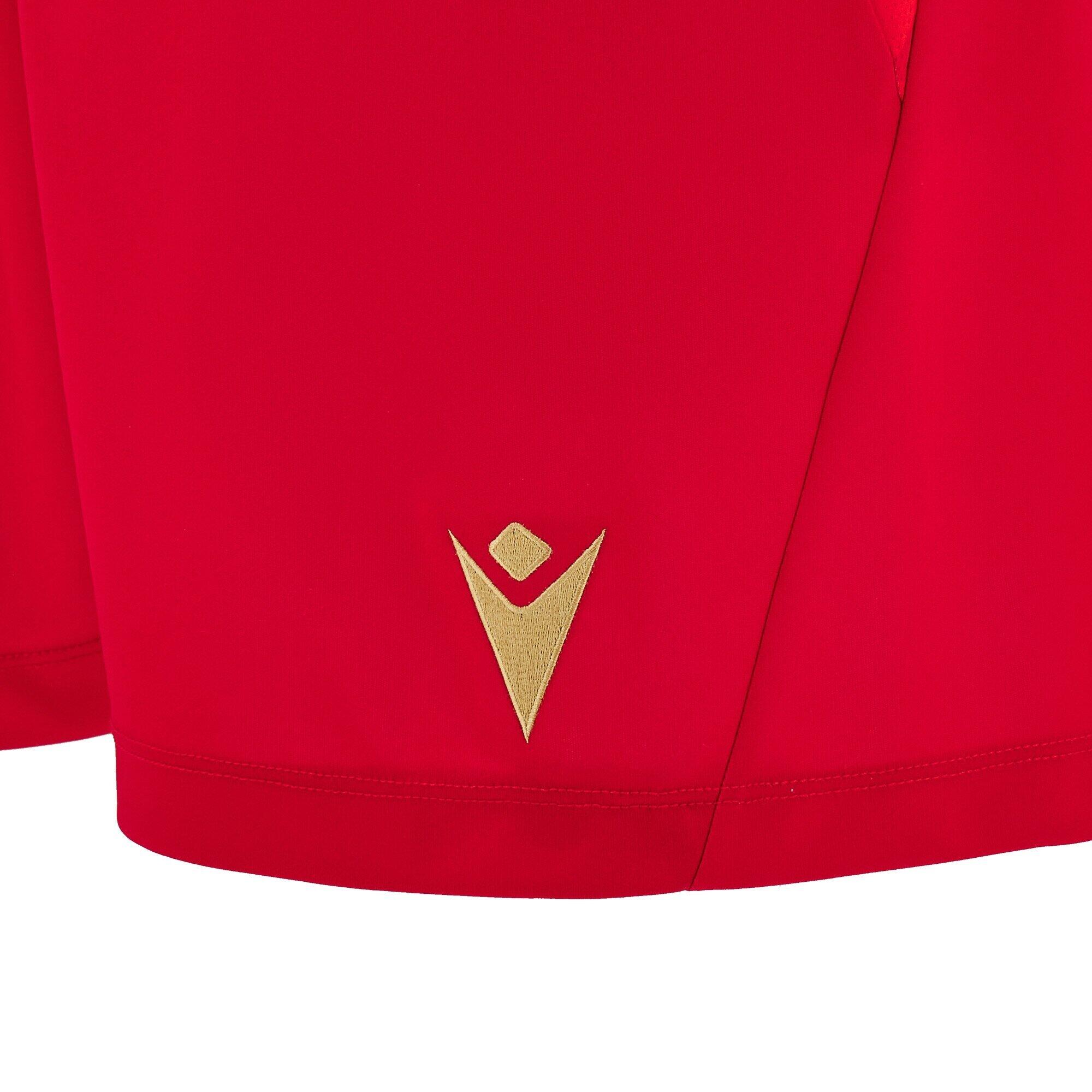 Short Domiciliario Stella Rossa di Belgrado 2024/25 5/5