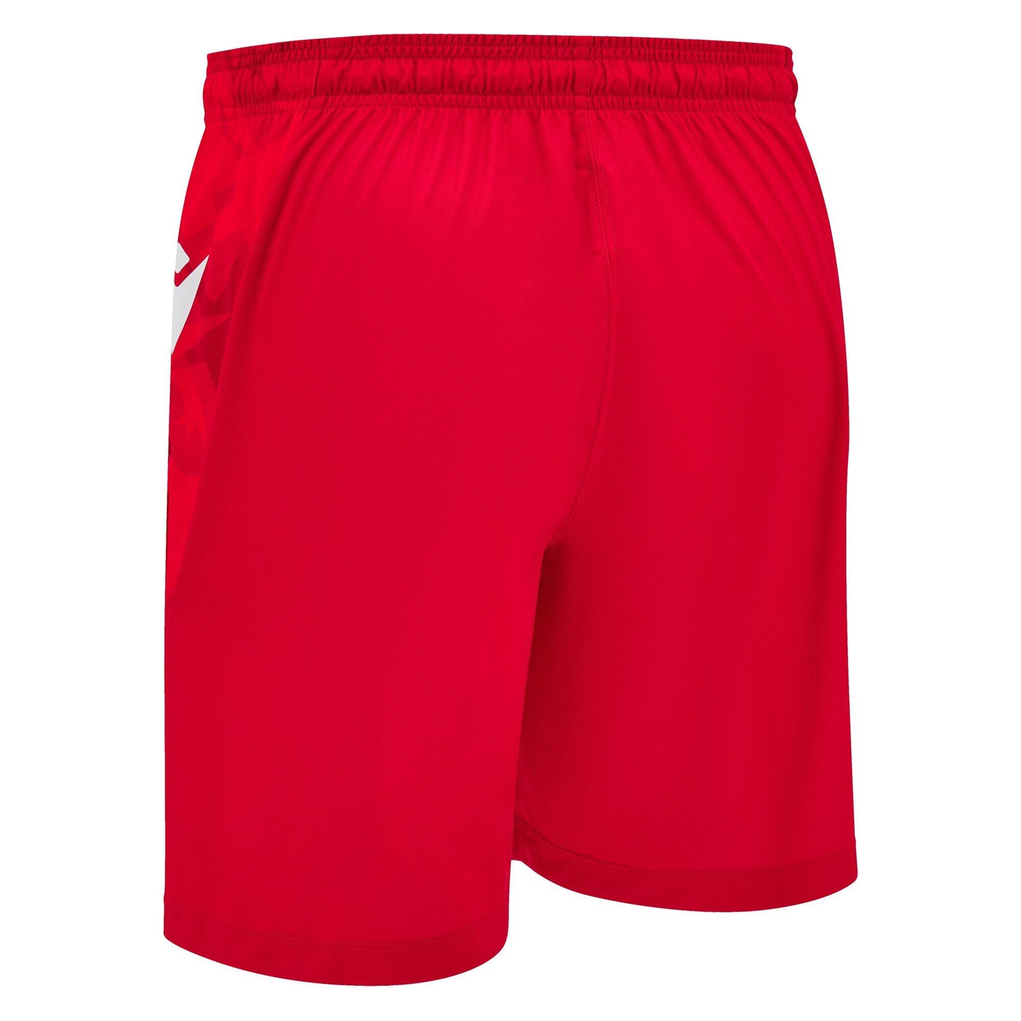 Short Domiciliario Stella Rossa di Belgrado 2024/25 4/5