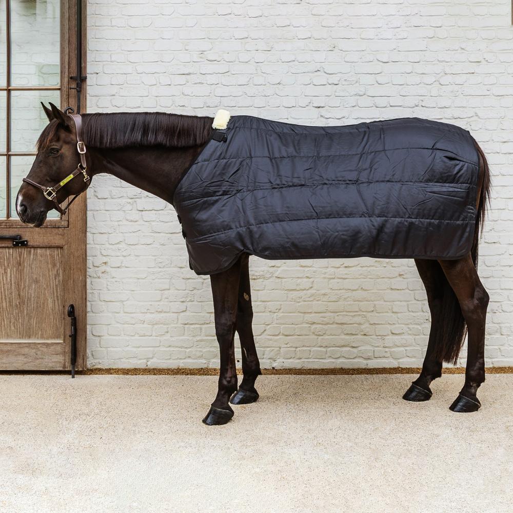 Manta de exterior para caballos Kentucky Horsewear Pro 100 g 2/4