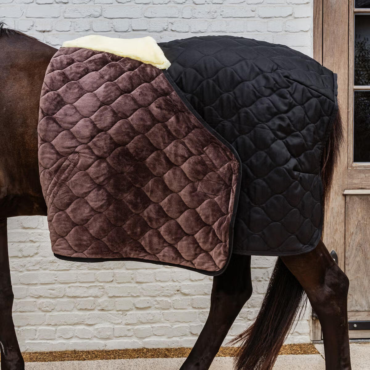 Manta de cuadra Kentucky Horsewear Comfort 200 g 5/5