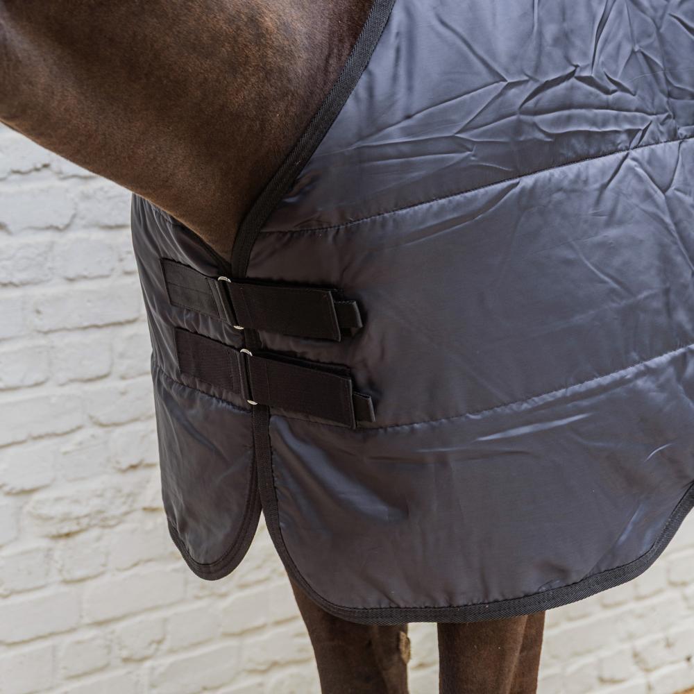 Manta de exterior para caballos Kentucky Horsewear Pro 100 g 3/4