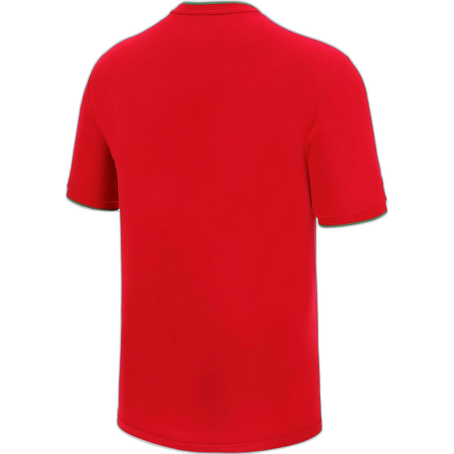 Jersey Pays de Galles Ca Groc 2/4