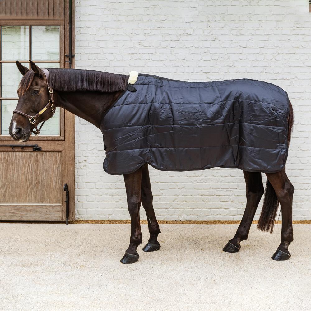 Turnout rug Comfort Liner black 155-6'9 200 gram 3/4