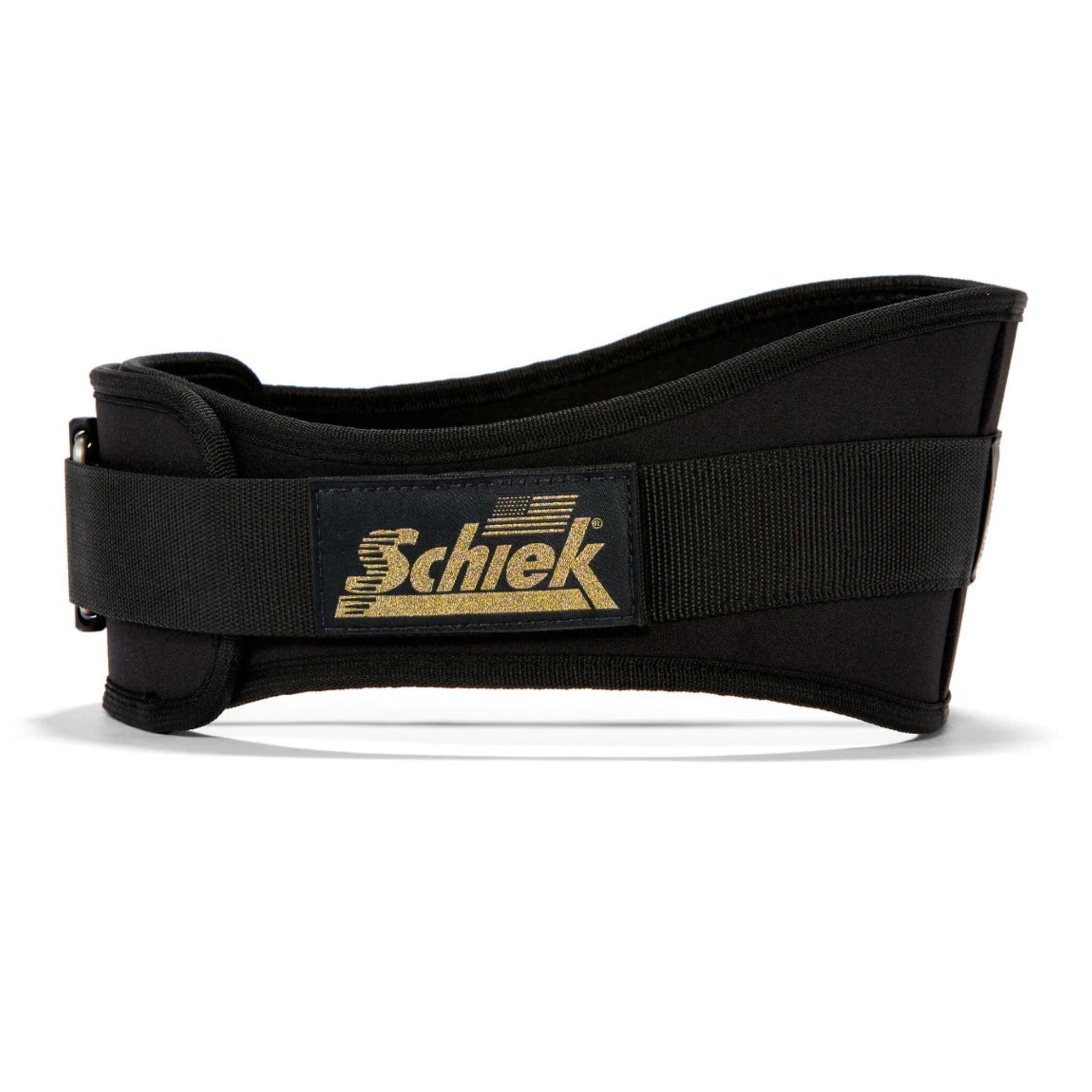 SCHIEK SPORT'S INC. USA picture