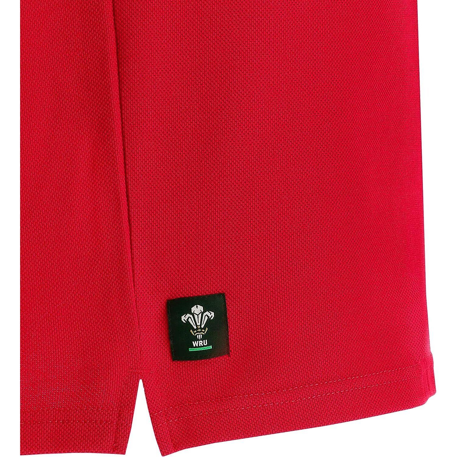 Long sleeve jersey Pays de Galles Rugby XV Merch CA 4/4