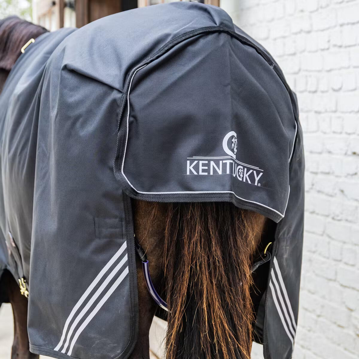 Cobija de exterior para caballo de todas las estaciones impermeable Kentucky Hor 4/5
