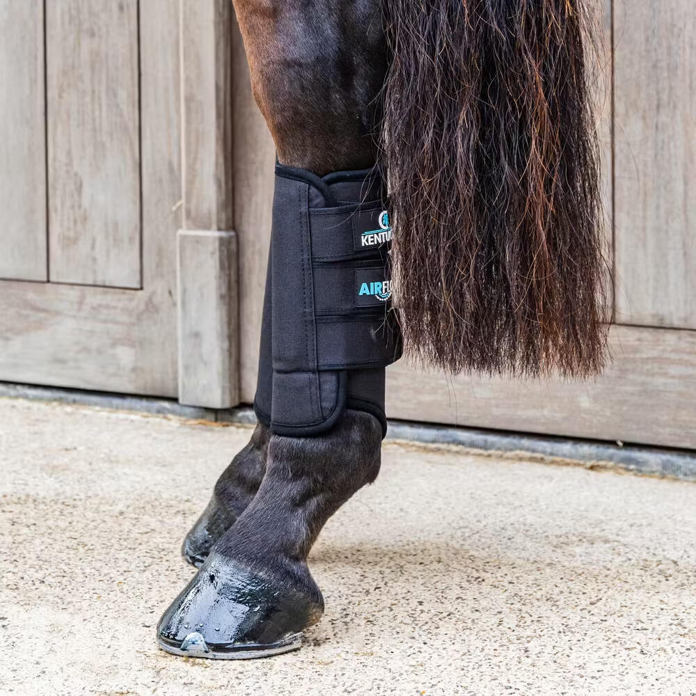 Botas traseras para caballos Kentucky 3D Air Flow Skin-Friendly 5/5