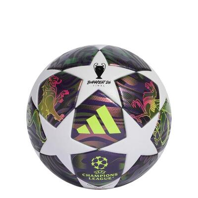 Uefa champions league final league voetbal