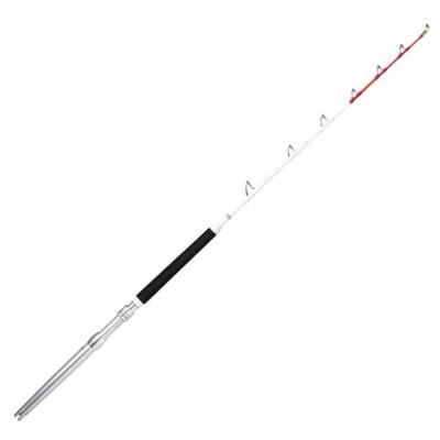 Cane Rapala Magnum Rh Stand Up 30-50 LBS