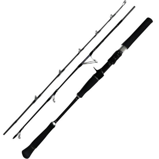Canne casting Hearty Rise Skywalker Norway Jigging 60-180g