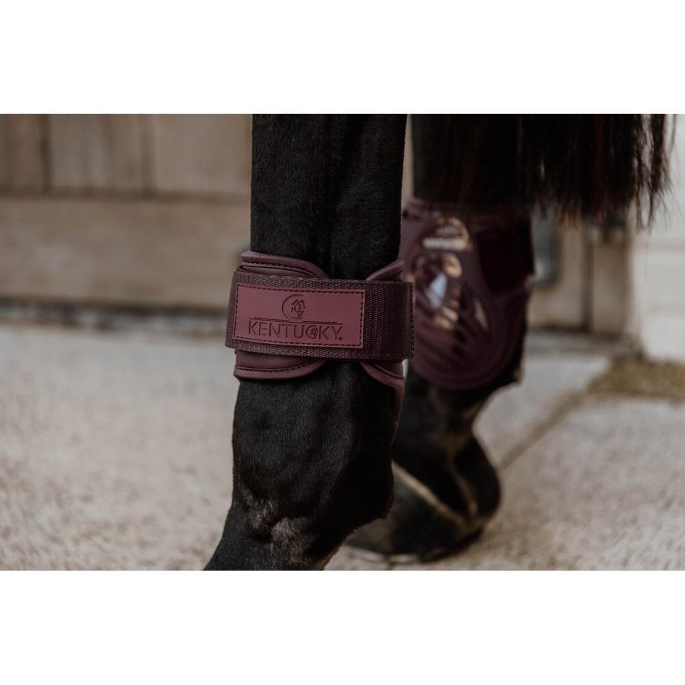 Fetlock guard for young horses Kentucky 4/5