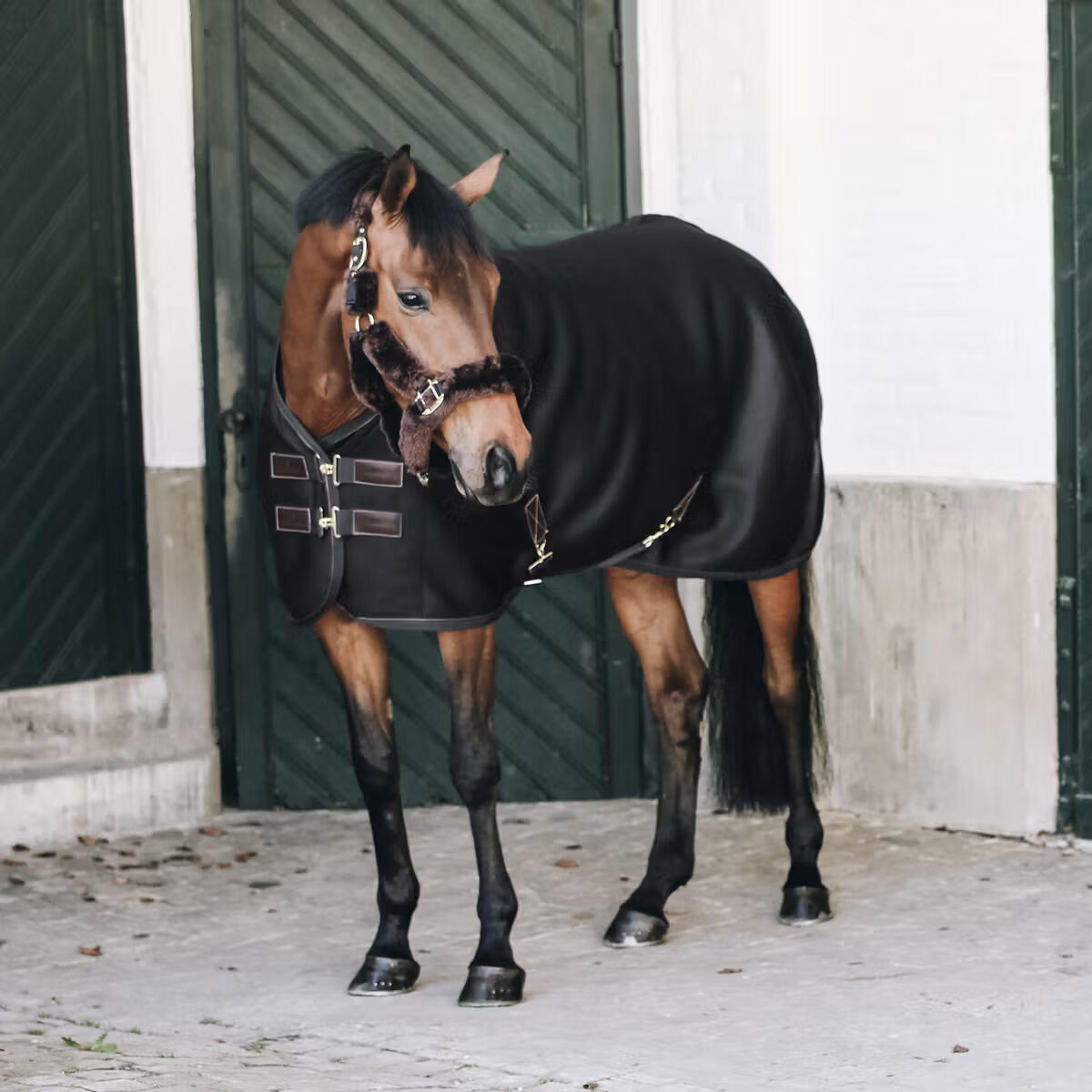 Coperta di asciugatura per cavalli per cavalli Kentucky Horsewear 3D Spacer 2/2