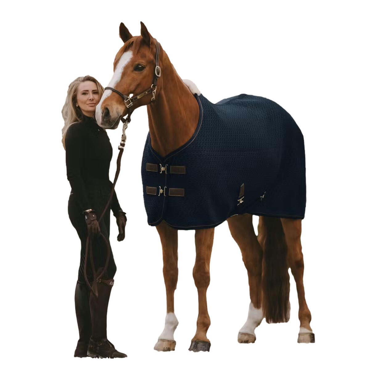 Couverture séchante pour cheval Kentucky Horsewear 4D Spacer 2/2