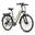 Bicicletă electrică de oraș Fafrees F28 Pro, motor 250W, baterie 36V 14.5Ah