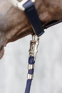 Lunghina cavallo antipanico Kentucky 2/2