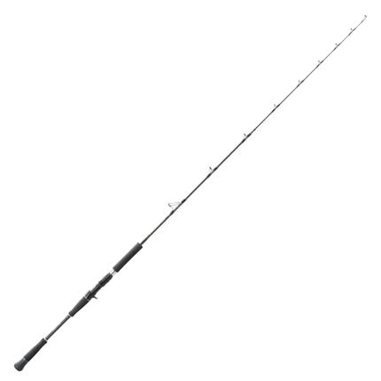 Canne casting Hearty Rise Skywalker Norway Jigging 100-300g