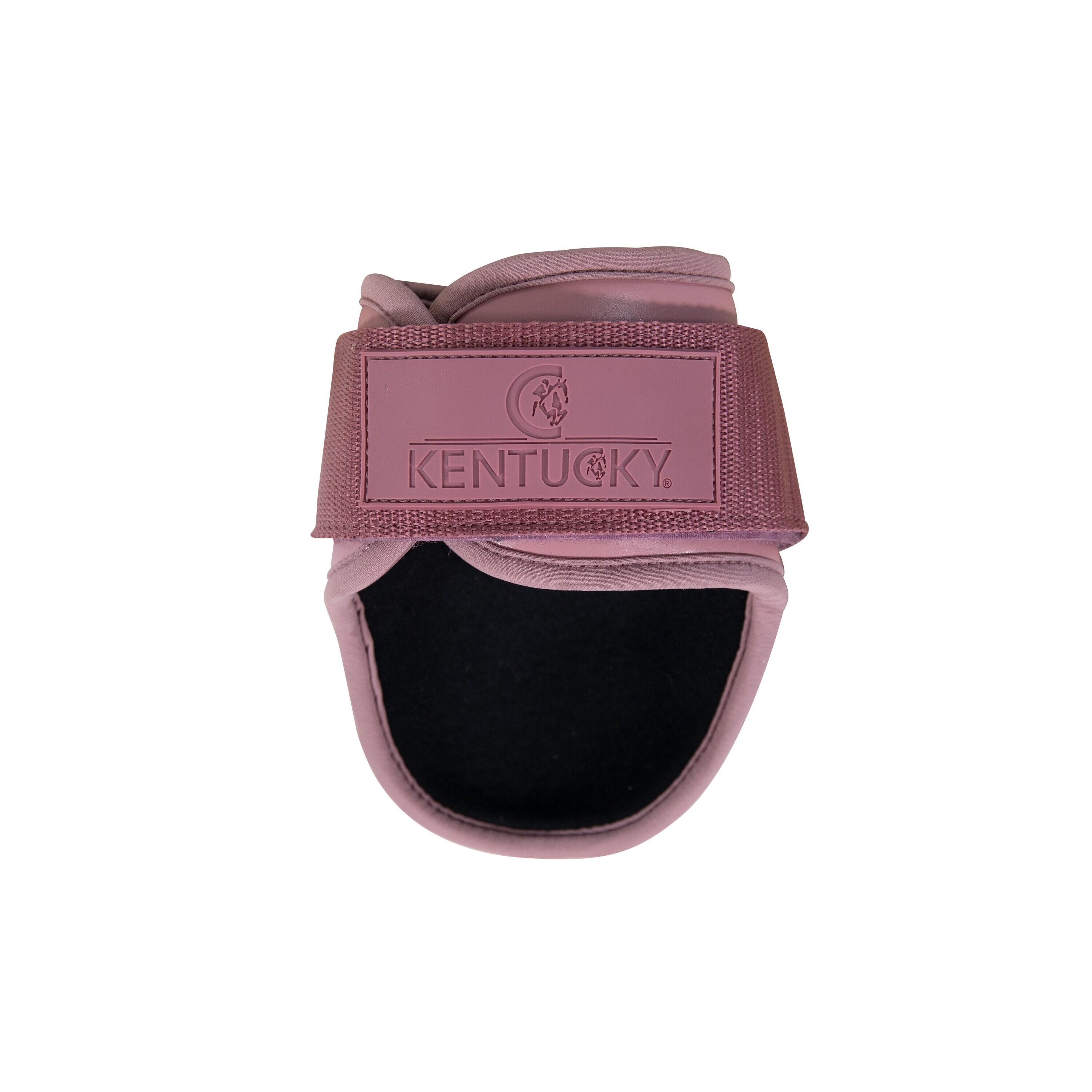 Fetlock guard for young horses Kentucky 2/3