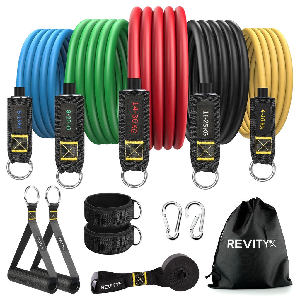 Fitness Resistance Bands Set of 5, Training Plan PDF, Carry Bag, Workout Bands