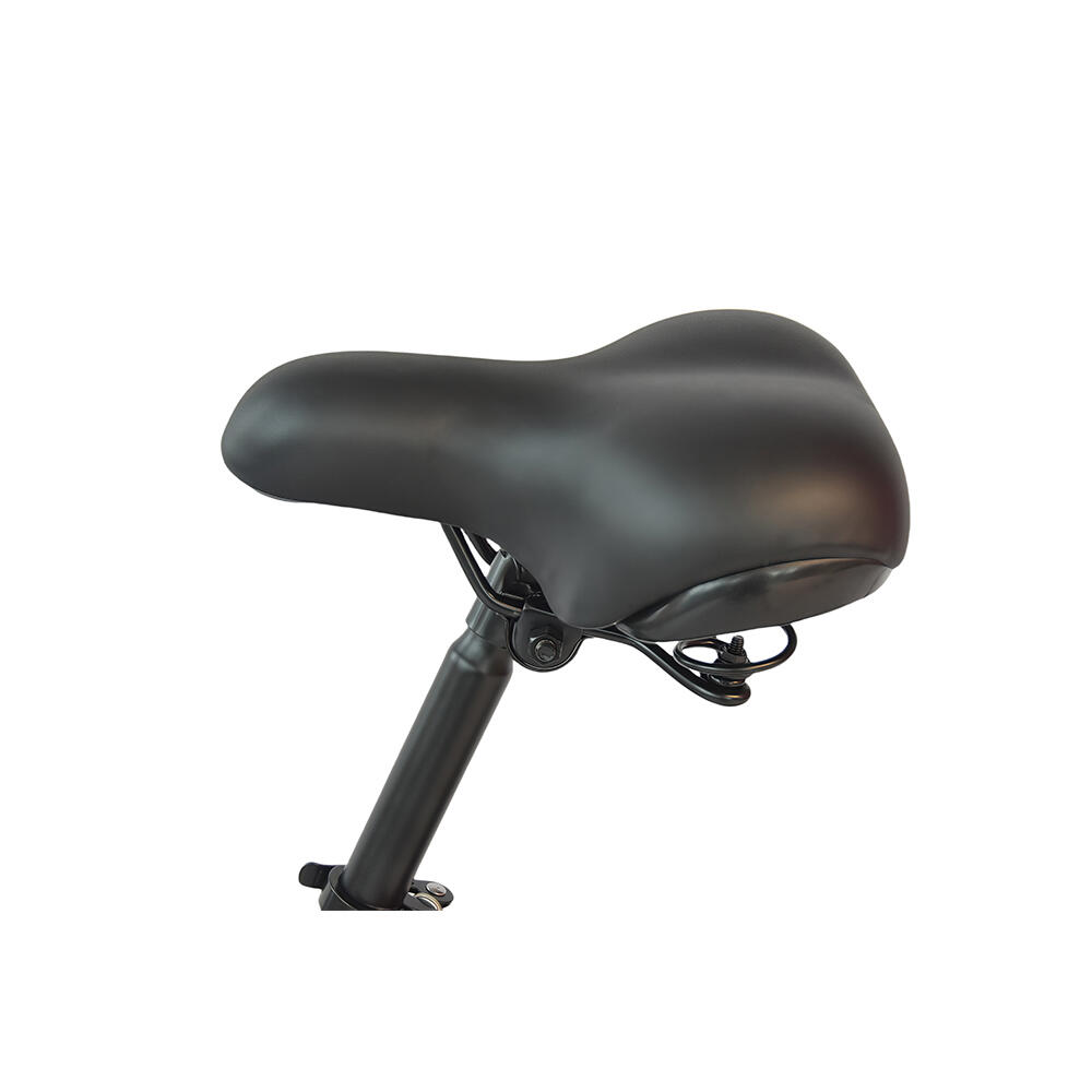 Bicicleta eléctrica urbana DYU B20MINI - 14 pulgadas, batería de 36 V y 7,8 Ah 7/7
