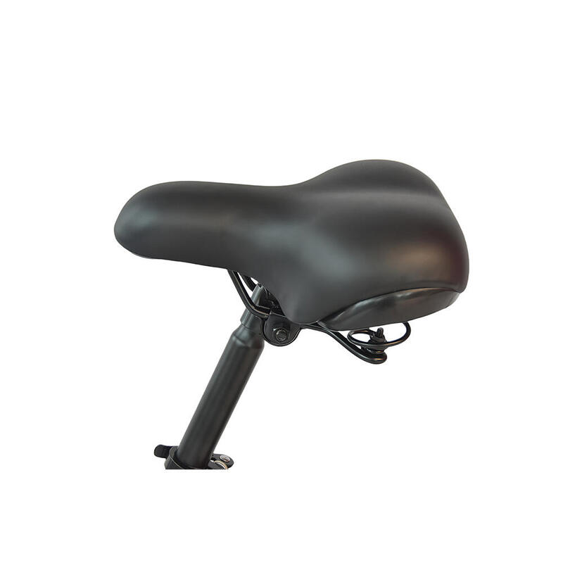 Bicicletă electrică de oraș DYU B20MINI - 14 inch, baterie de 36V 7.8Ah