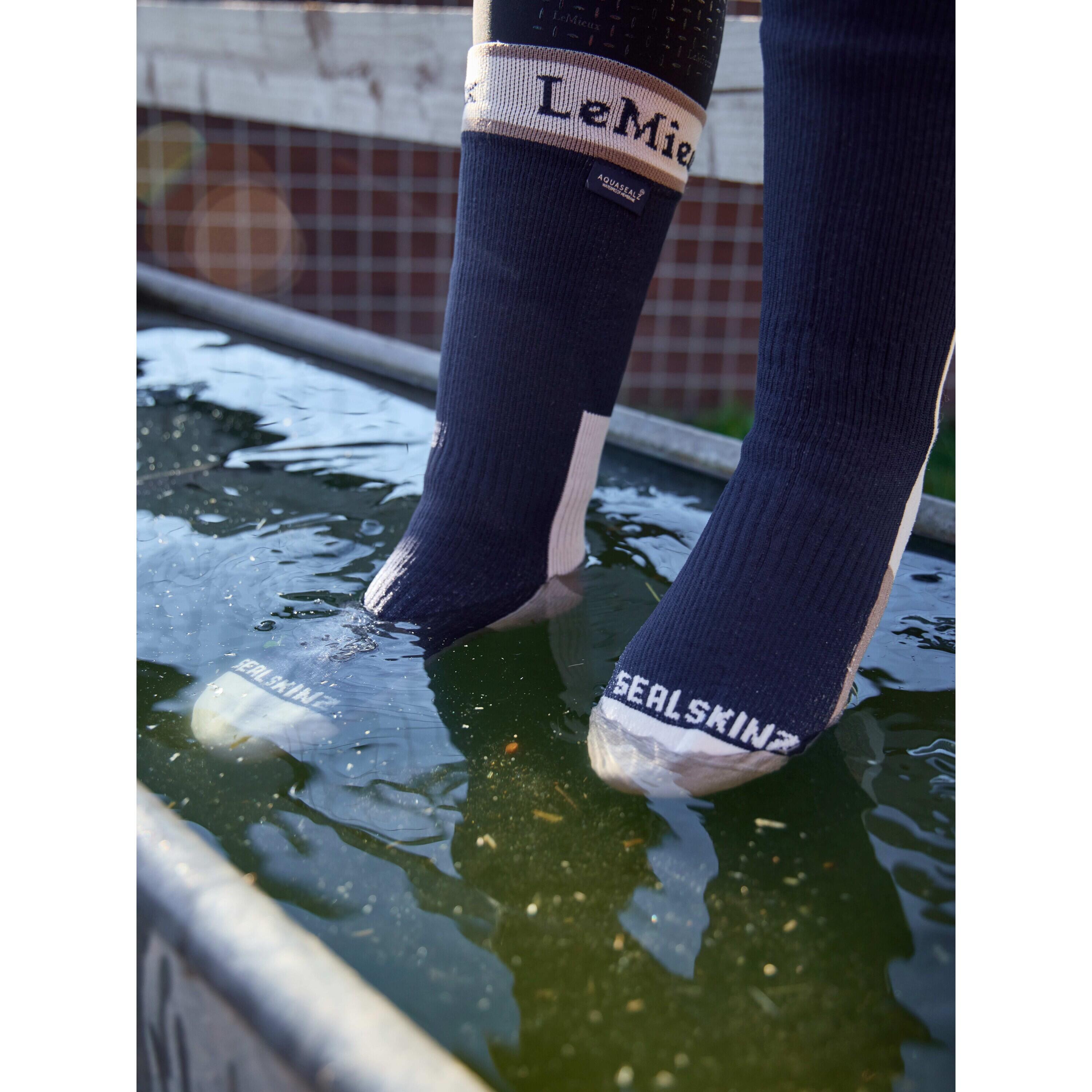 Rijsokken LeMieux Sealskinz 2/4