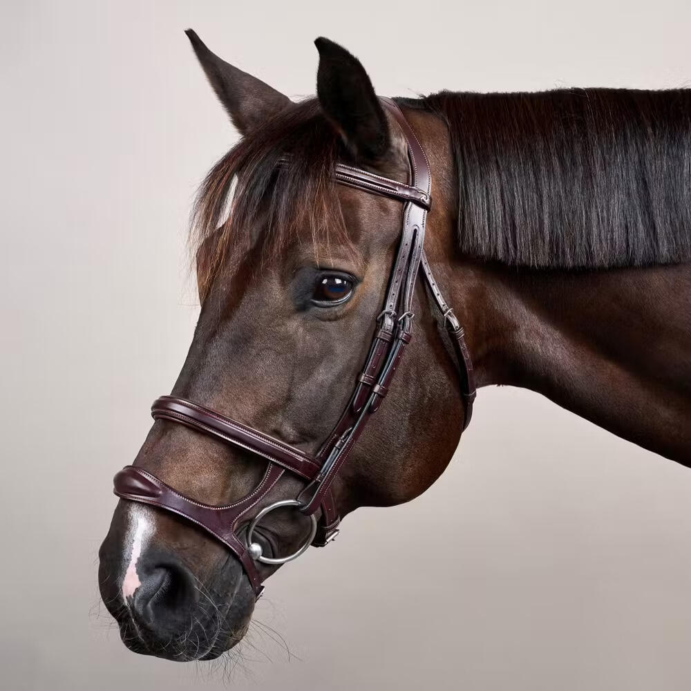 Briglia combinata da equitazione con nasello Dy'on New English Collection 3/5