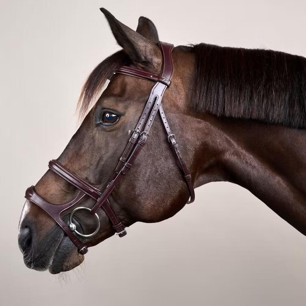 Briglia combinata da equitazione con nasello Dy'on New English Collection 2/5