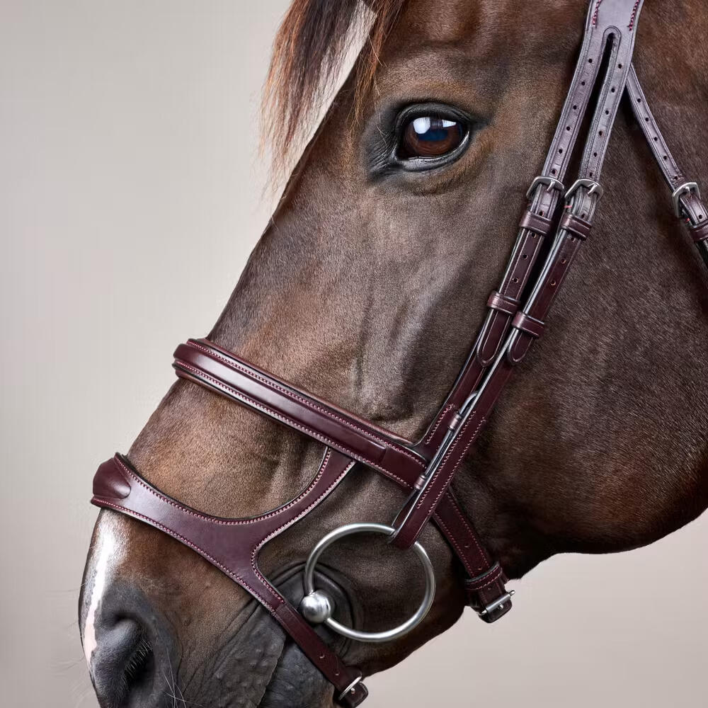 Briglia combinata da equitazione con nasello Dy'on New English Collection 5/5