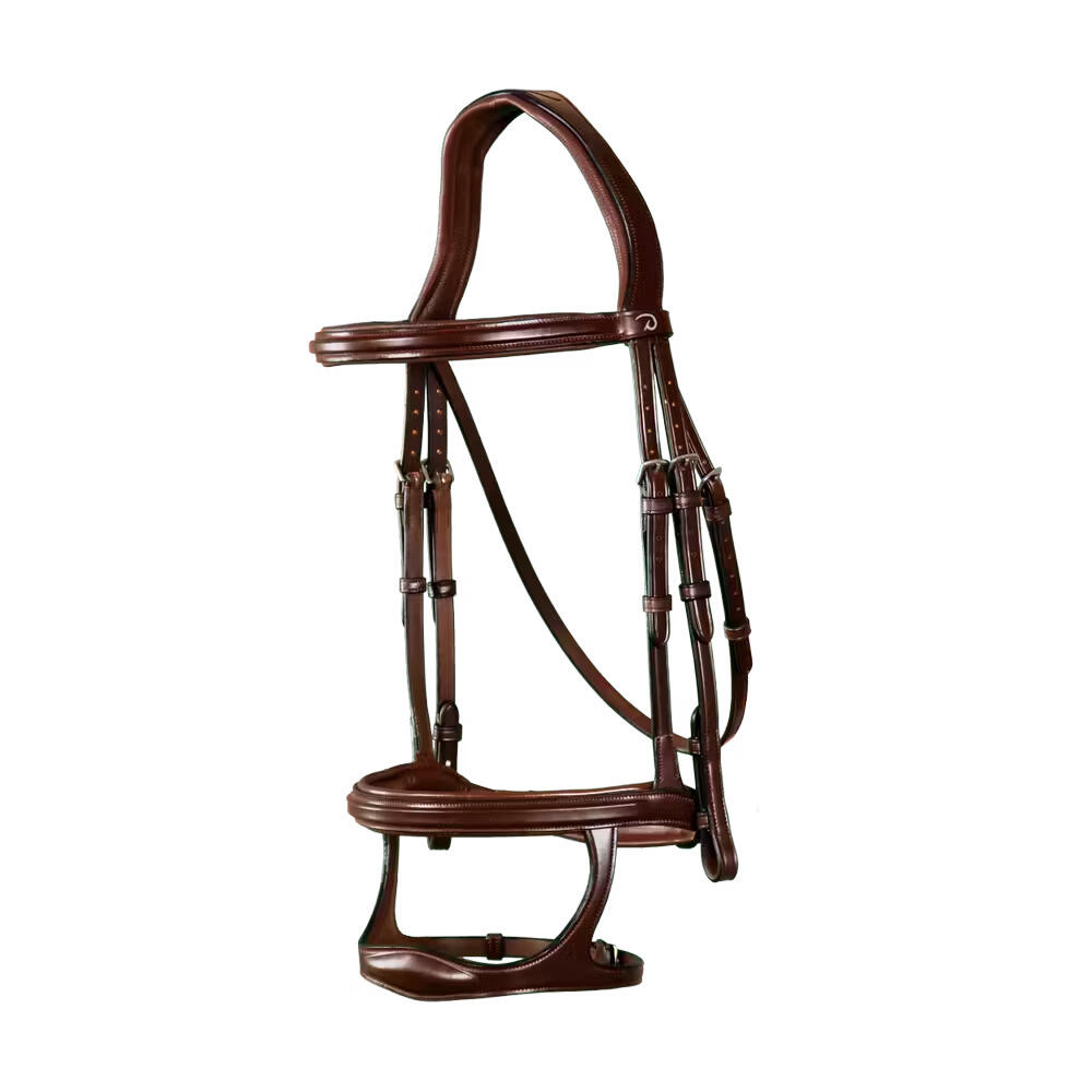 Combined riding bridle and noseband Dy'on New English Collection