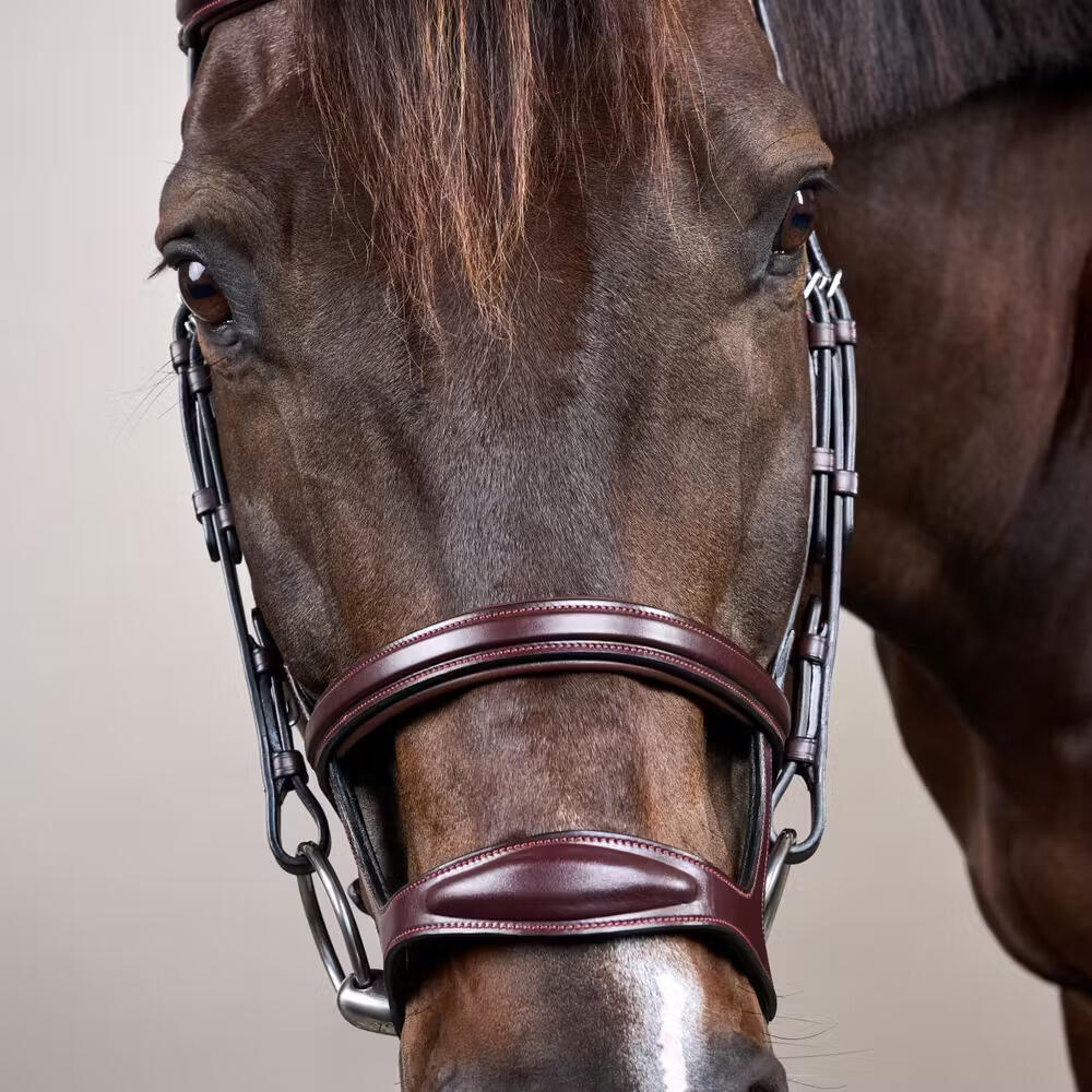 Briglia combinata da equitazione con nasello Dy'on New English Collection 4/5