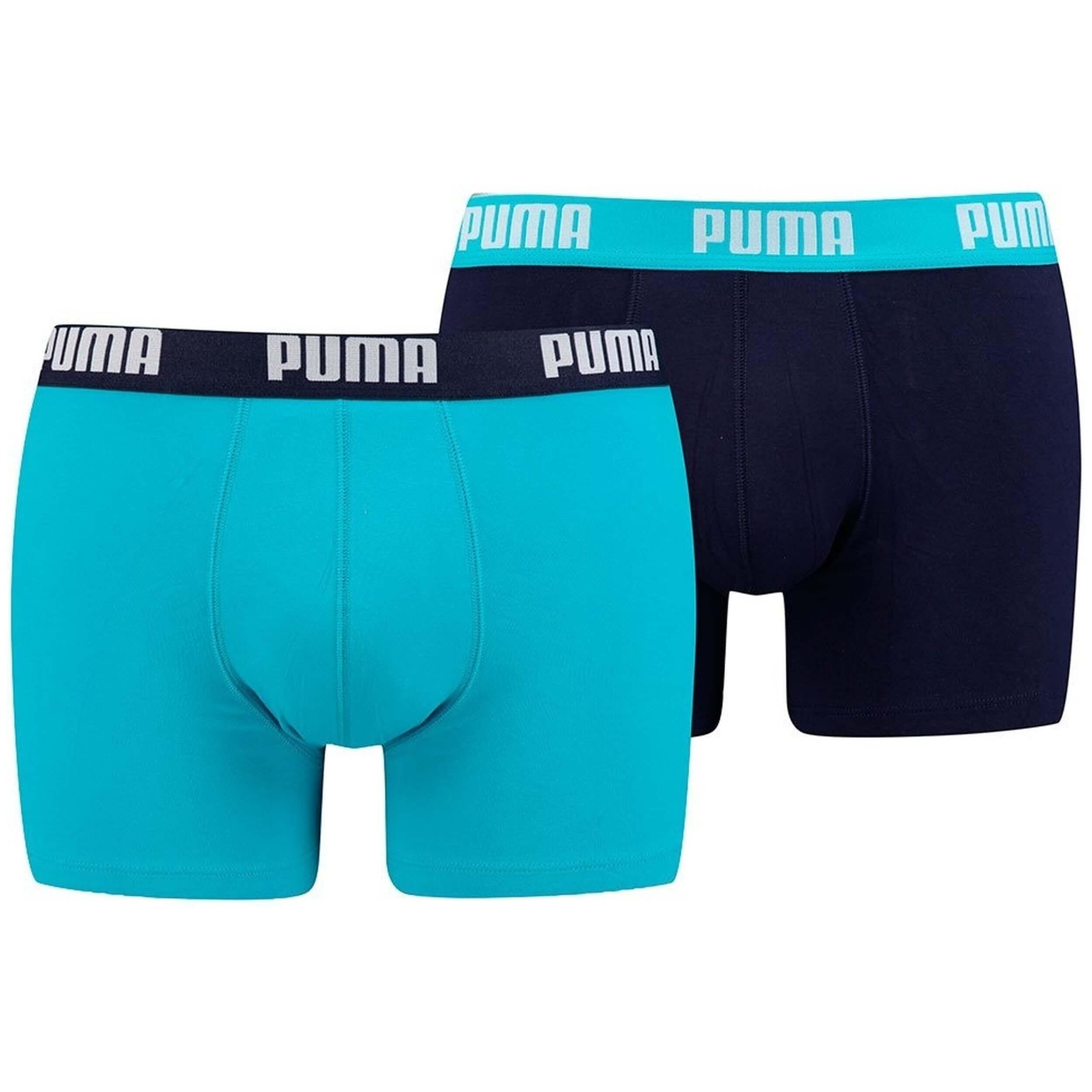 PUMA picture