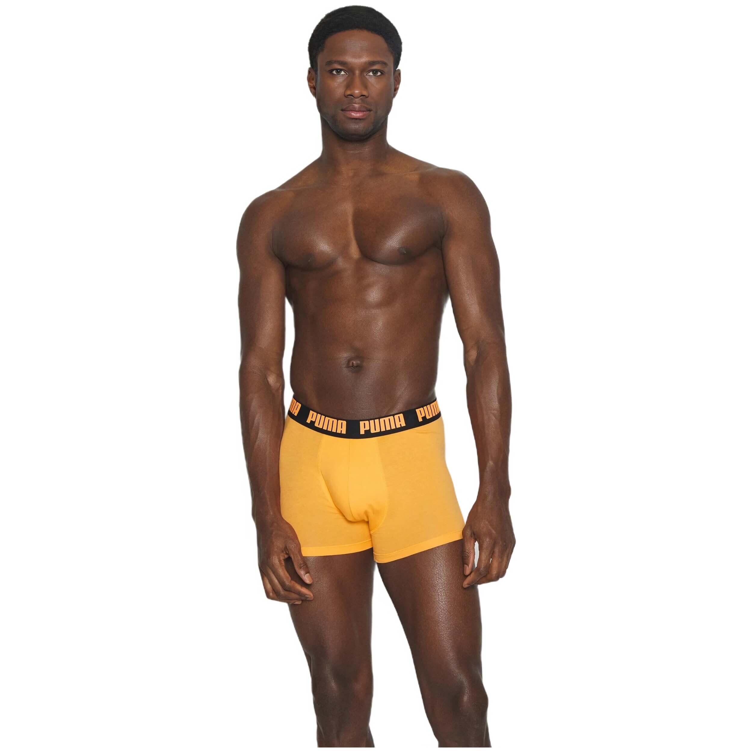 Boxers Puma modèle 521015001-058 pour homme 3/5