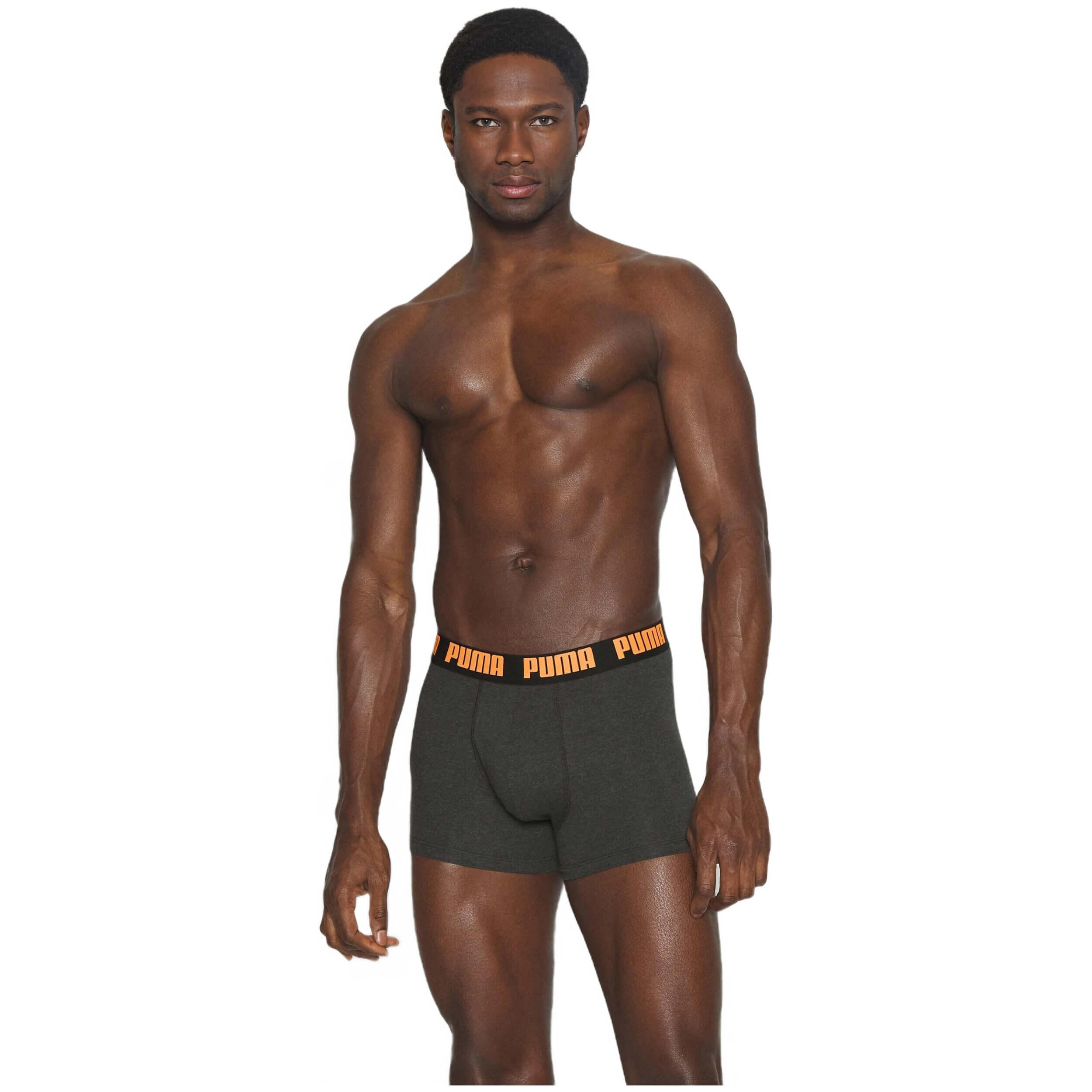 Boxers Puma modèle 521015001-058 pour homme 5/5