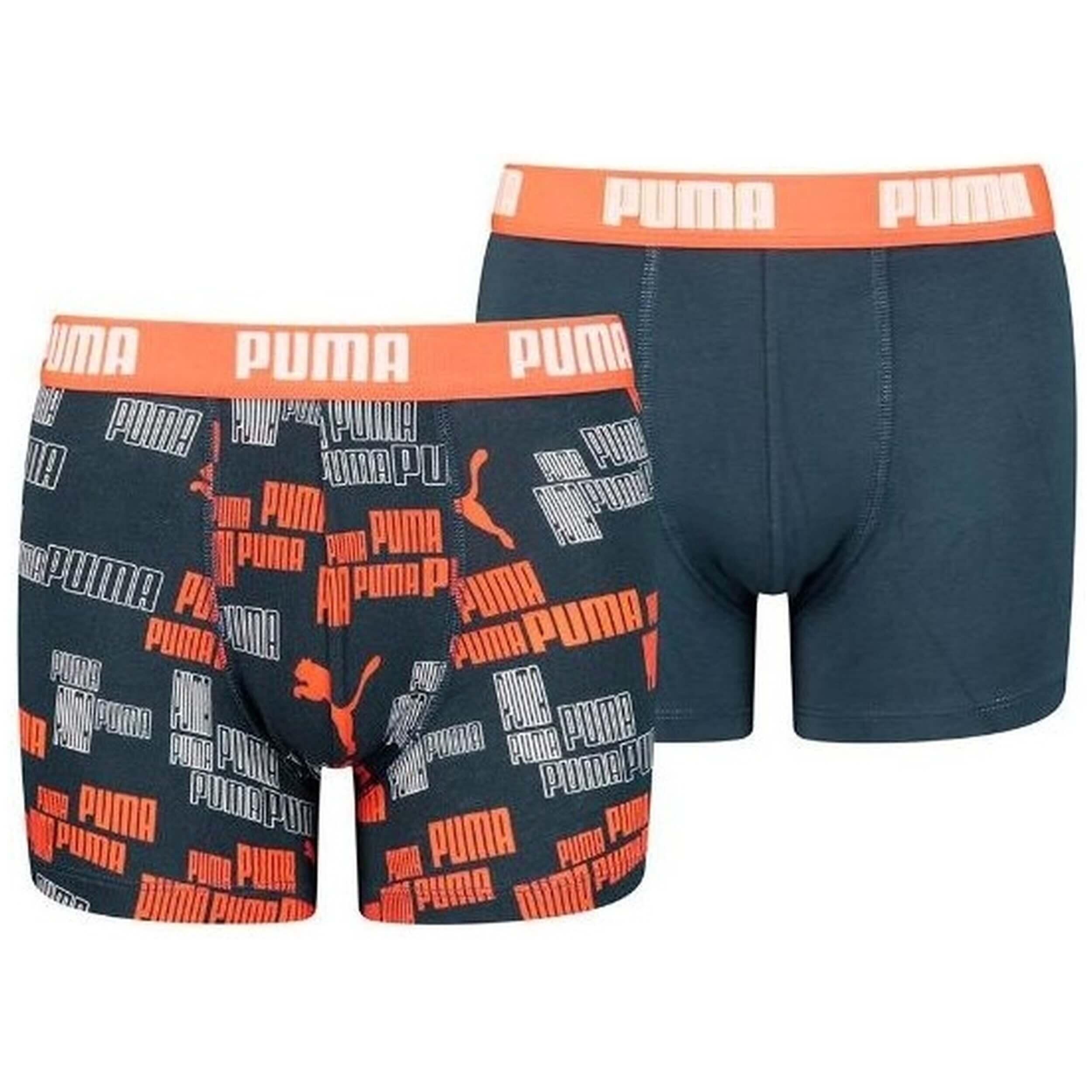 PUMA picture