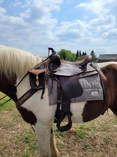 Entre Particuliers - Selle western