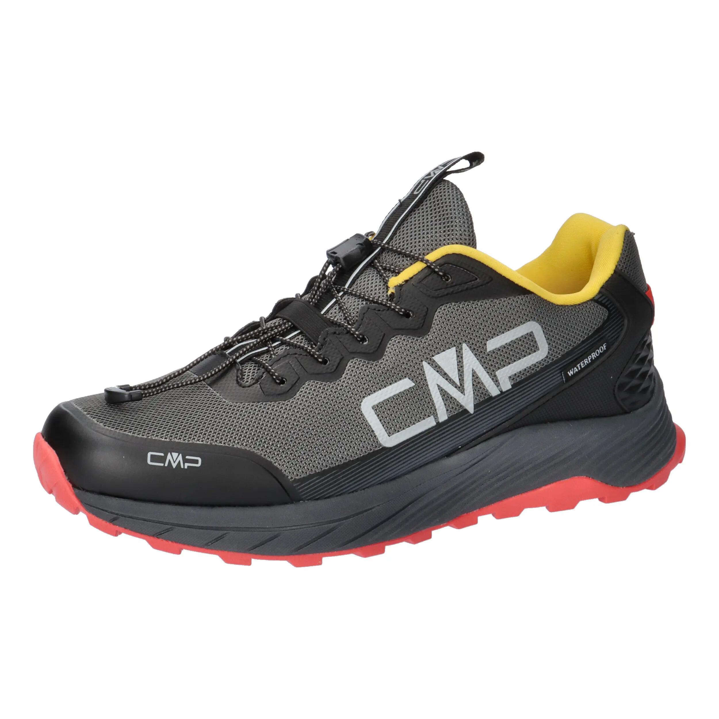 CMP picture
