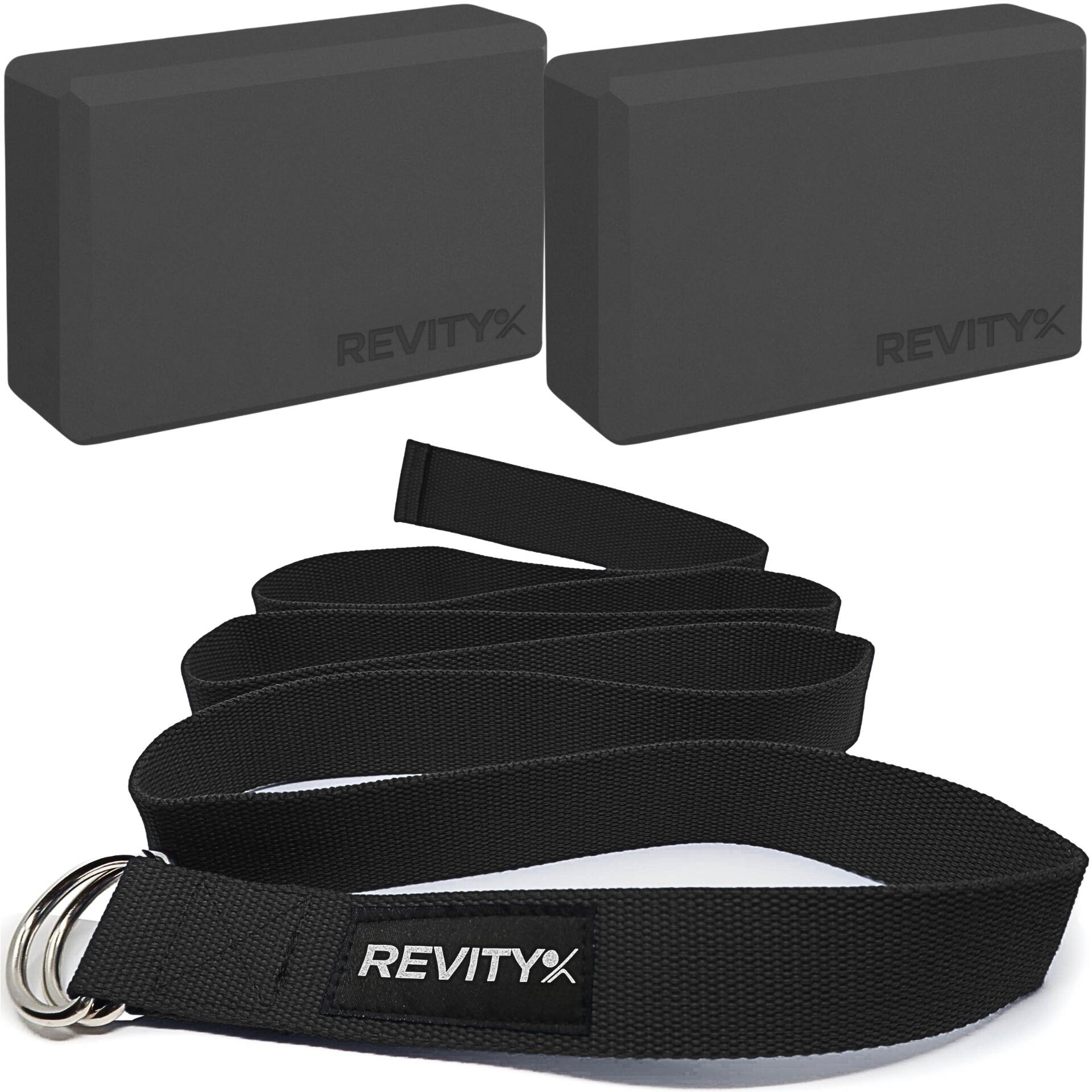 REVITY picture