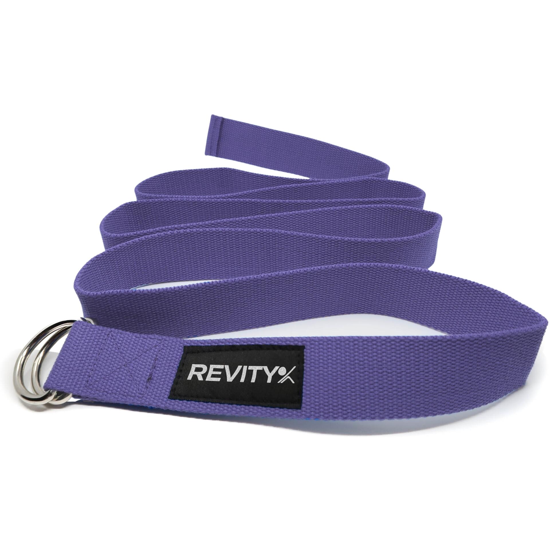 REVITY picture