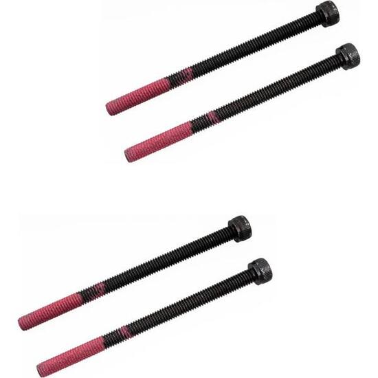 Viti Thule Yepp Maxi M6 x 65 per tubo sella.