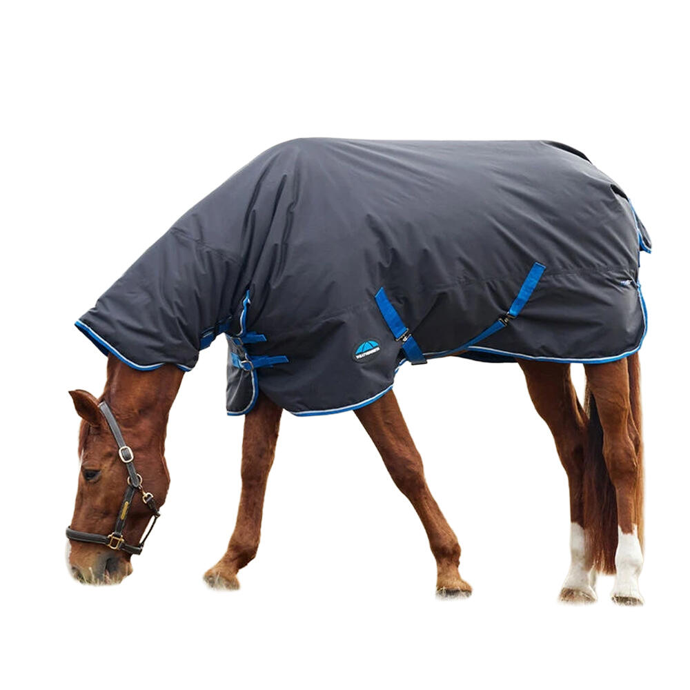 Comfitec Tyro Combo Neck 220g Horse Turnout Rug (Navy/Charcoal) 4/4