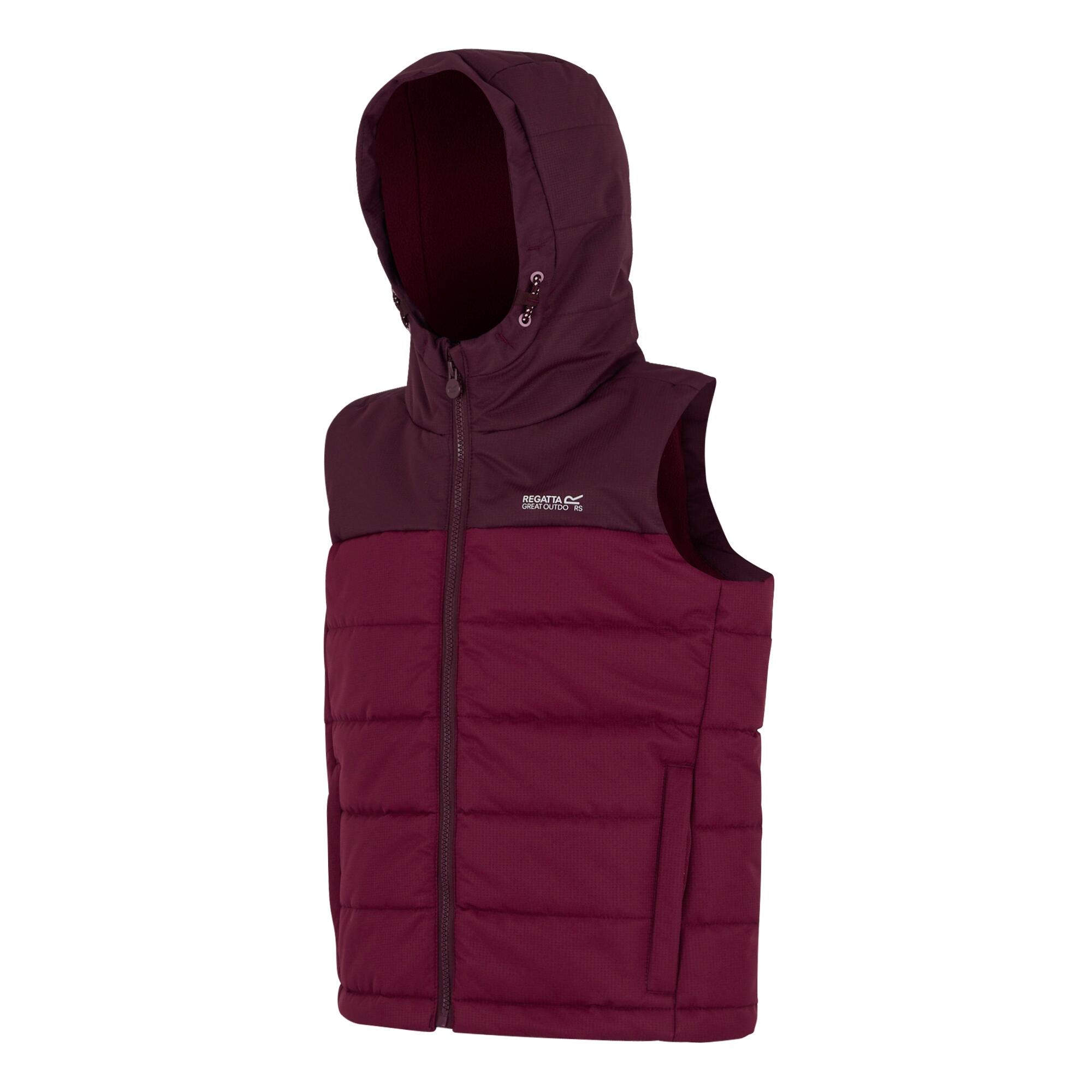 Gilet Imbottito Bambini Regatta Lofthouse Fico Pimento Scuro 3/5